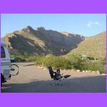 Belle In Her Chair.jpg